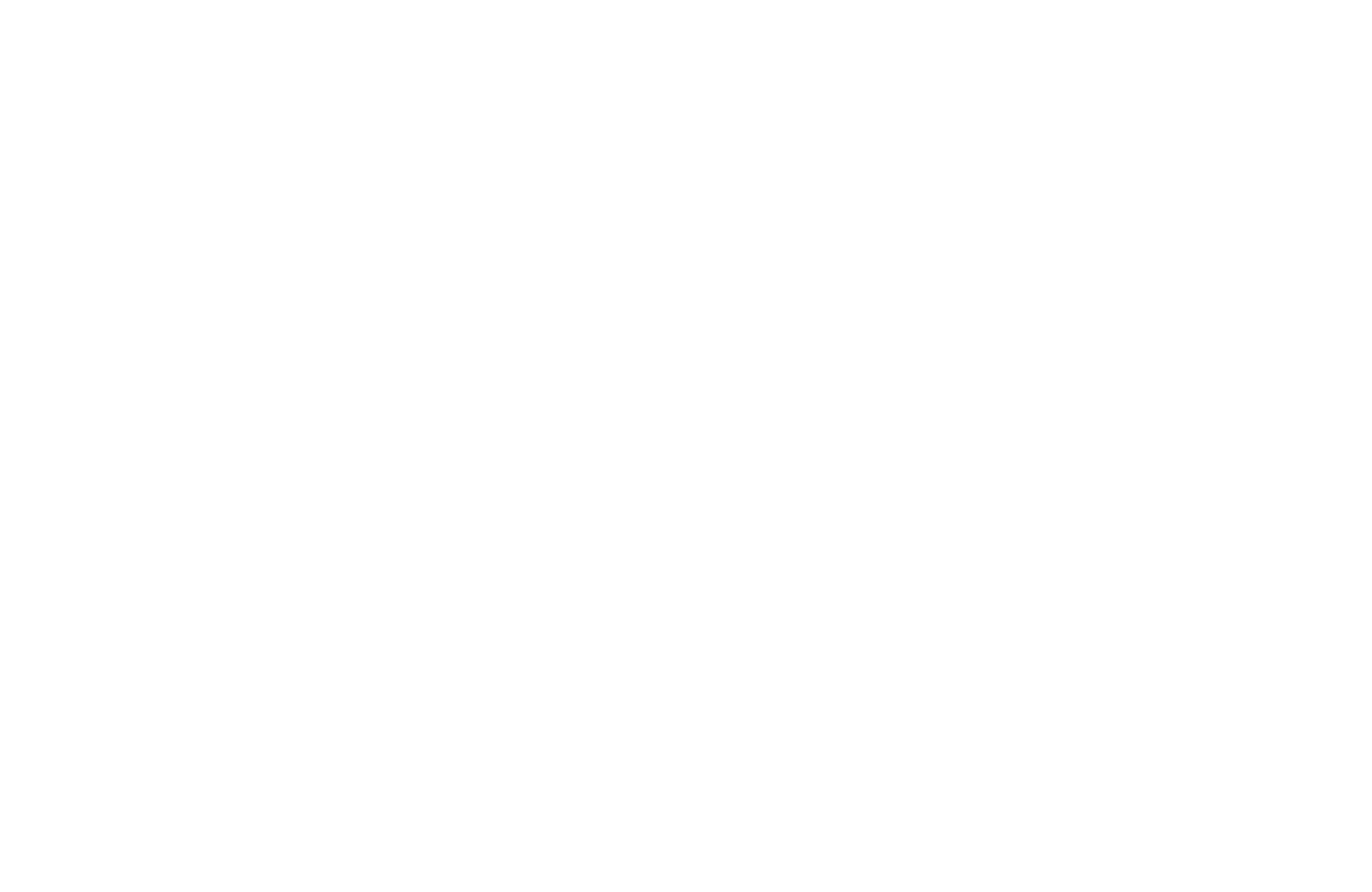 Logo ska blanc